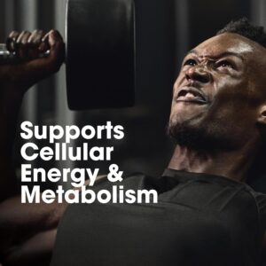 optimum nutrition (on) multivitamin for men– 60 tablets, 26 vitamins & minerals, amino acids & anti oxidants (green tea extract, beta carotene, lutein, lycopene). vegetarian.